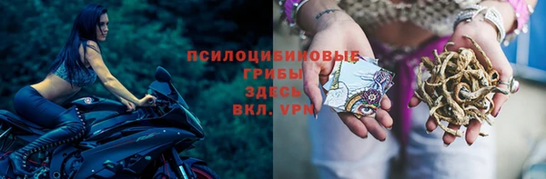 прущие грибы Беломорск