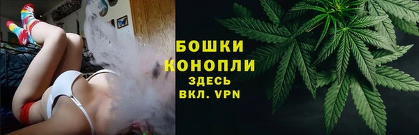 прущие грибы Беломорск