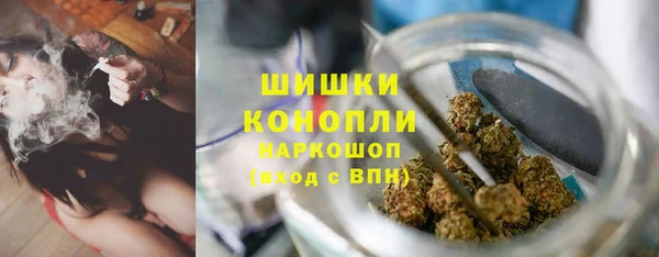 прущие грибы Беломорск
