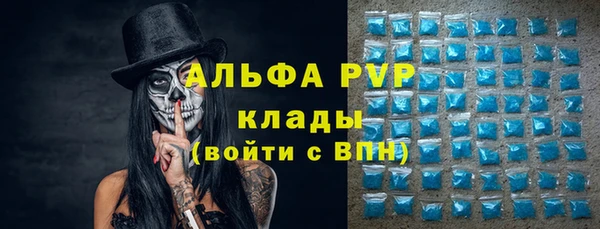 сатива Белоозёрский