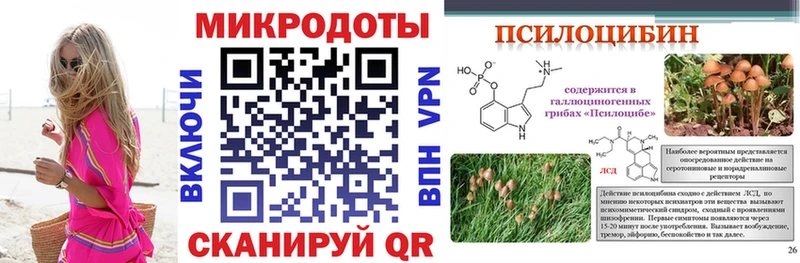 купить наркоту  Павловская  ОМГ ОМГ ТОР  Галлюциногенные грибы MAGIC MUSHROOMS 